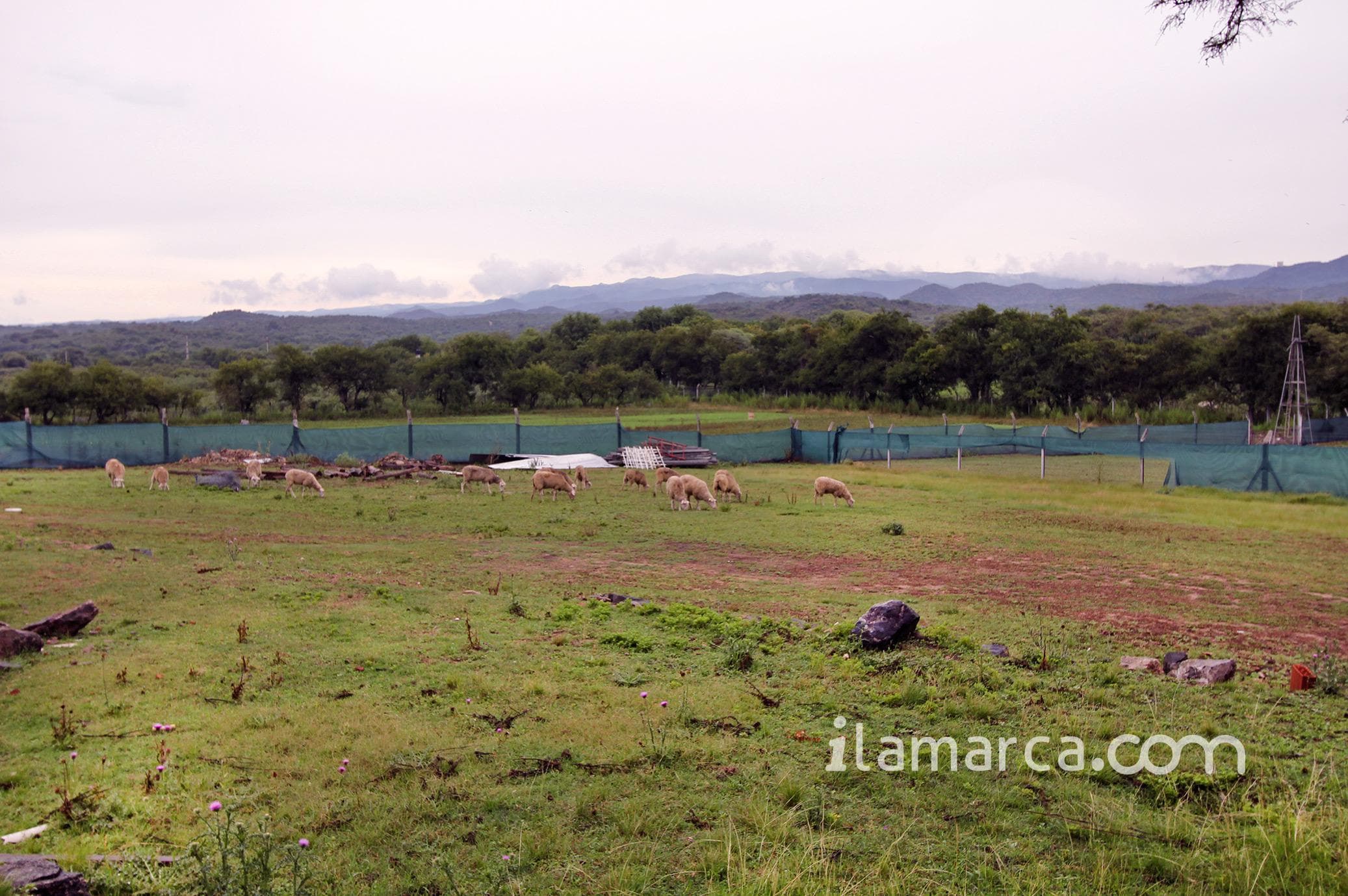 Campo Jose de la Quintana – foto 1